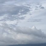 Noboa barre entre Ecuadores que eligen en Costa Rican