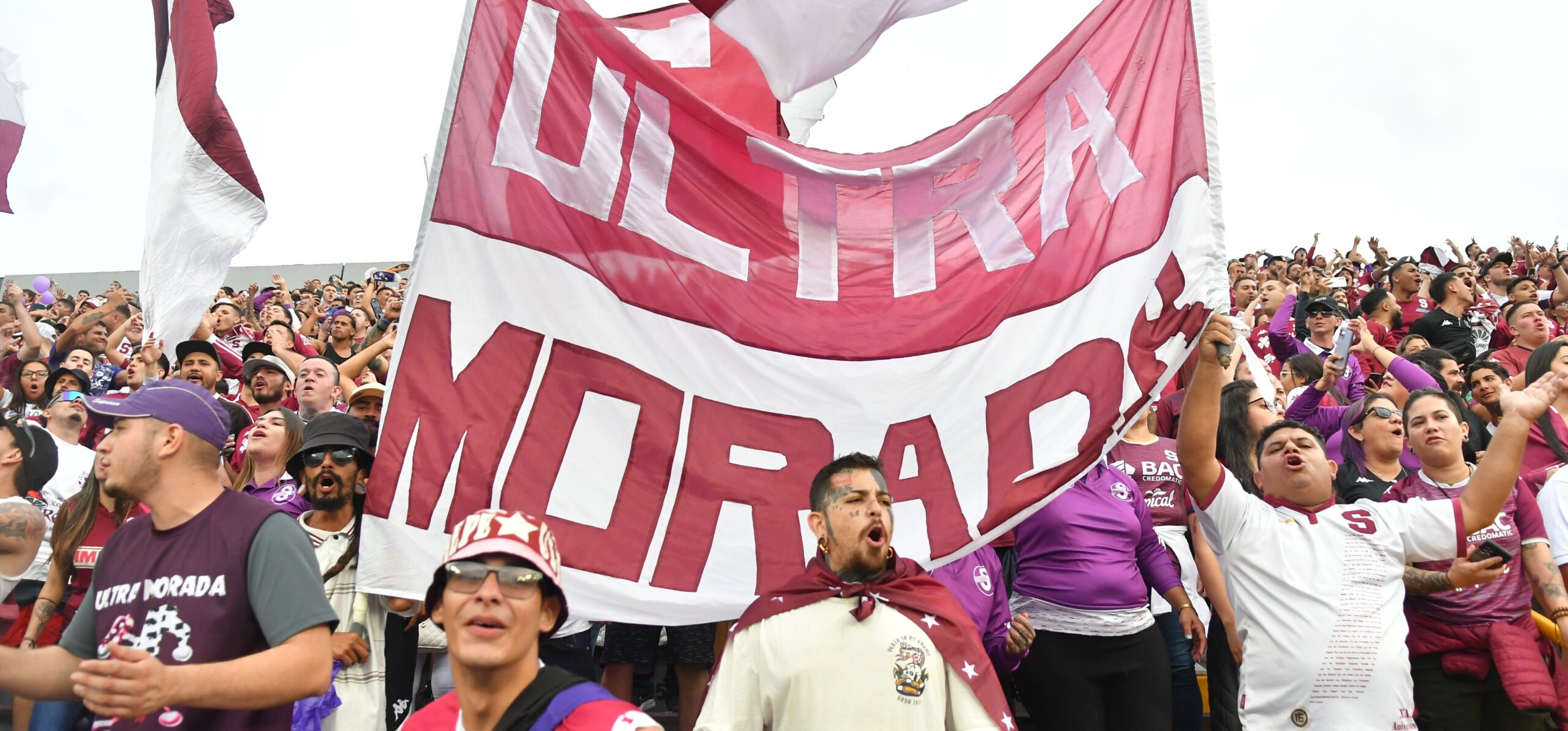 Monster Semax no negocia con tigres

 – Noticias cr