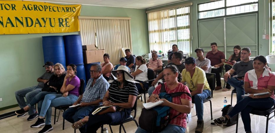 CNP e INA brindan capacitación a los productores de PAI en buenas prácticas agrícolas

 – Noticias cr