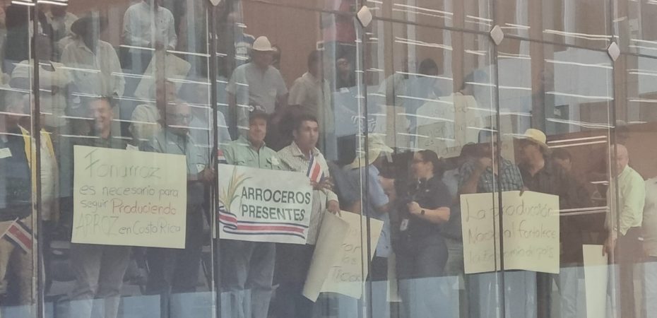 Pilar Cisneros sugiere que los estudiantes de arroz que no son competitivos buscan otras opciones de producción

 – Noticias cr