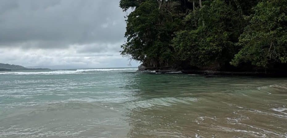 Regulador de pueblo del vástago afro-relico caribe sur- el observador CR

 – Noticias cr