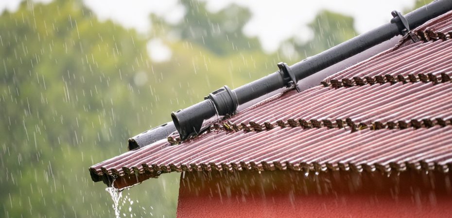 Lluvia de la tarde de este lunes: ola tropical no .. 30 cruces Costa Rica

 – Noticias cr