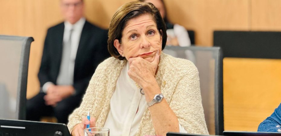 «Nos parece una contradicción», dice Cisneros de Pilar en la disolución de TSE para continuar conferencias, pero no anunciarlas

 – Noticias cr