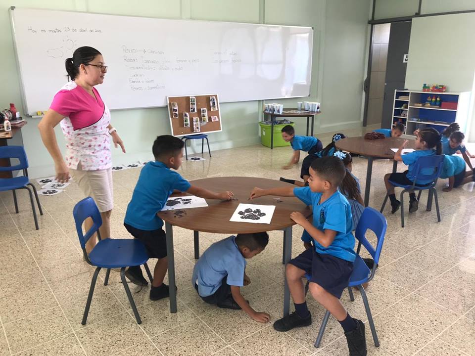 Diputados garantizan ¢100.000 millones para pagar bonos a maestros y profesores

 – Noticias cr