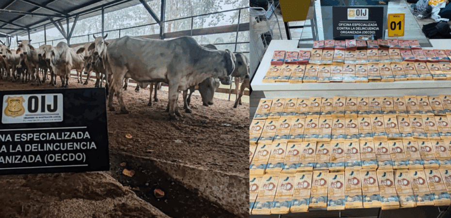 Sanción económica por caso de traición en el Caribe Sur

 – Noticias cr