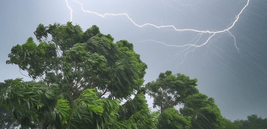 CNE declara alerta amarilla en la Zona Norte y el Caribe por lluvias

 – Noticias cr