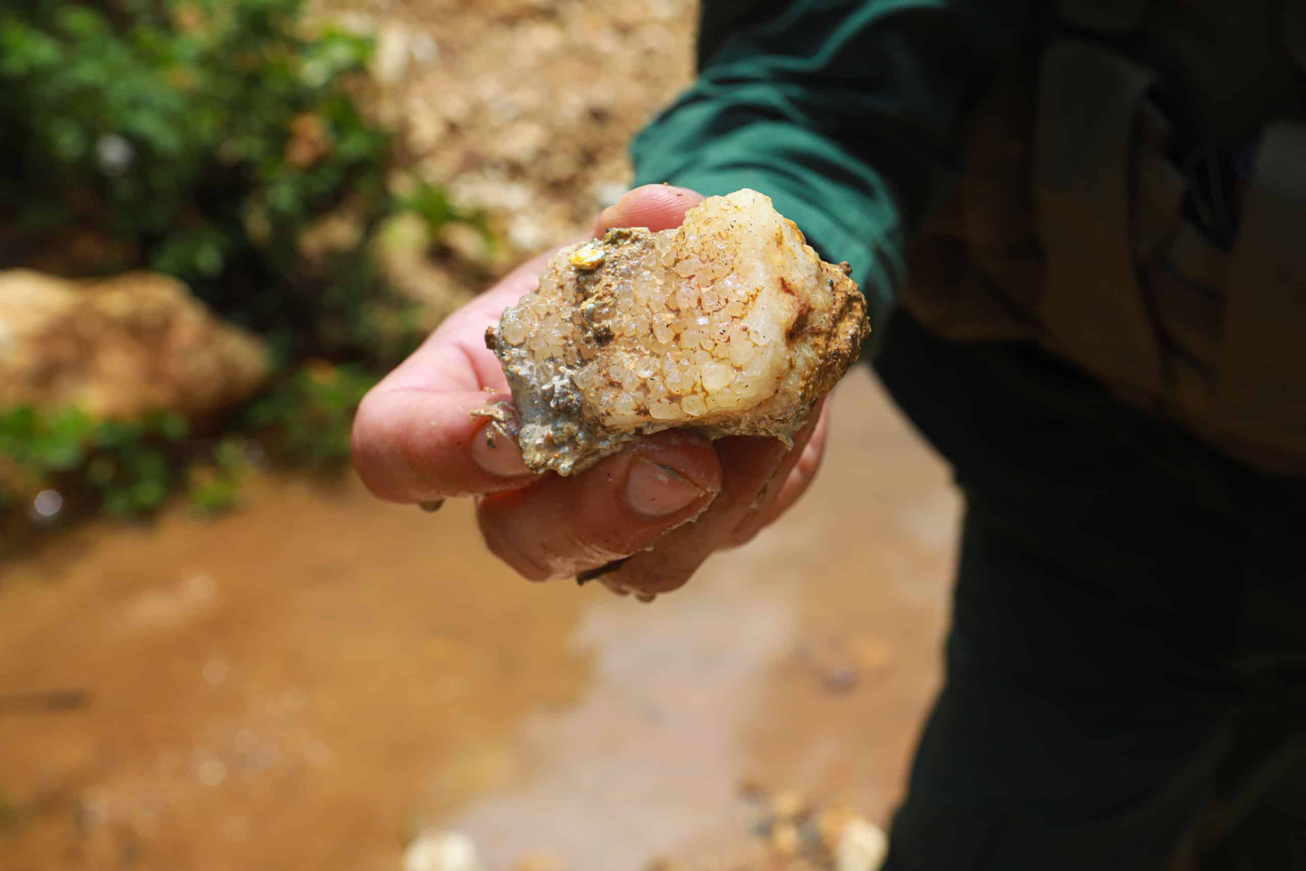 Un revés en un proyecto de exploración y explotación de oro en Crucitas

 – Noticias cr
