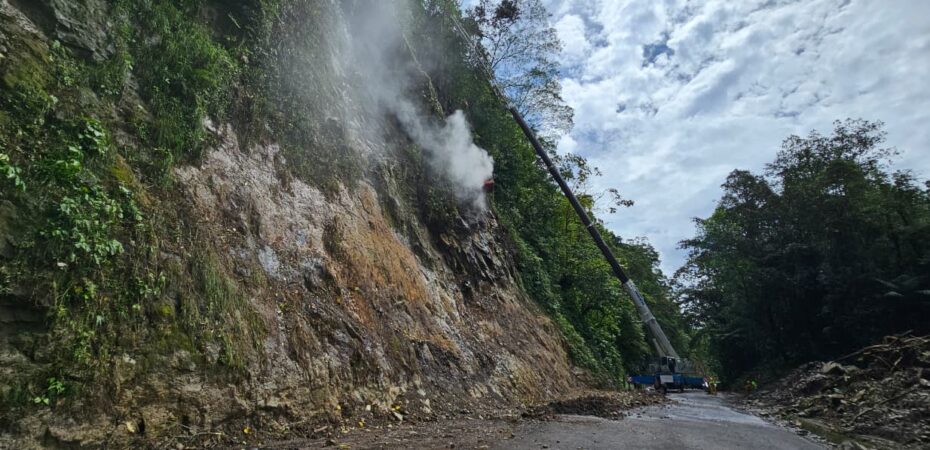 Trabajador resulta lesionado en Ruta 32 por caída de árbol durante labores de limpieza

 – Noticias cr