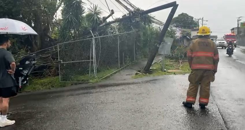 Fuertes vientos provocan caída de árboles y daños eléctricos

 – Noticias cr