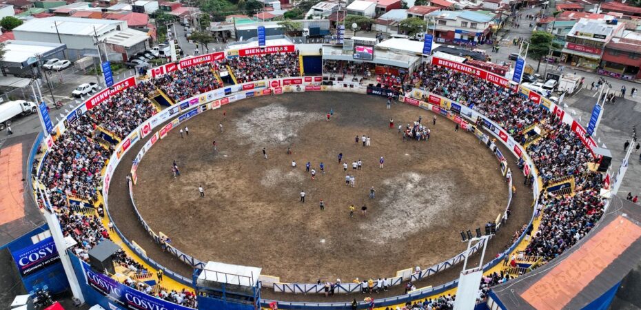 25 personas fueron atendidas en fiestas de Zapote en los primeros dos días

 – Noticias cr