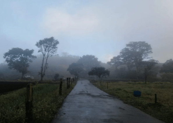 Choque de frío N°6 provoca mañanas frías: temperatura en volcán Irazú bajó a 2,7 °C este martes

 – Noticias cr