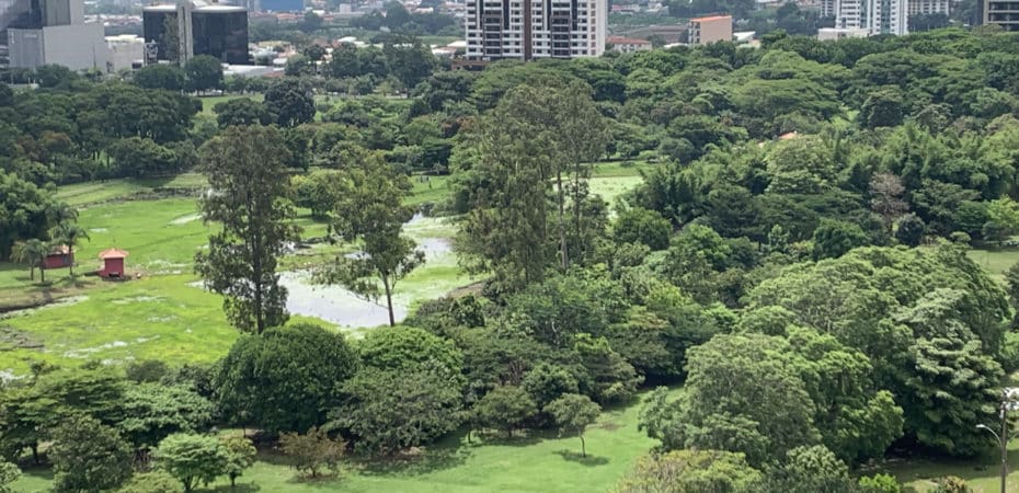 La Sabana permanecerá cerrada por dos semanas por este motivo

 – Noticias cr