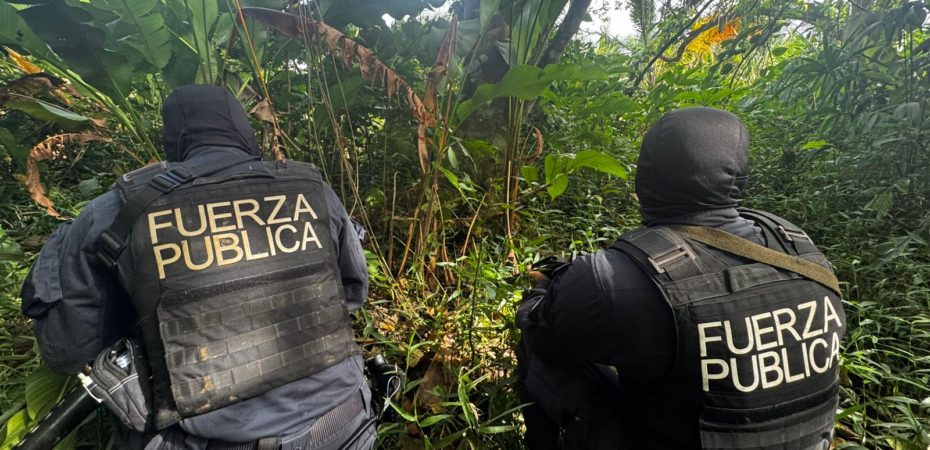 Tasa de homicidios en provincia de Limón es similar a Ecuador, reveló OIJ

 – Noticias cr