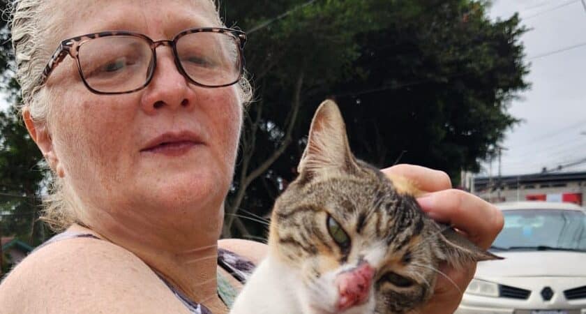 Claudia Dobles y Ariel Robles cuestionan manejo gubernamental de denuncia sobre presunto plan para atacar a Chaves

 – Noticias cr