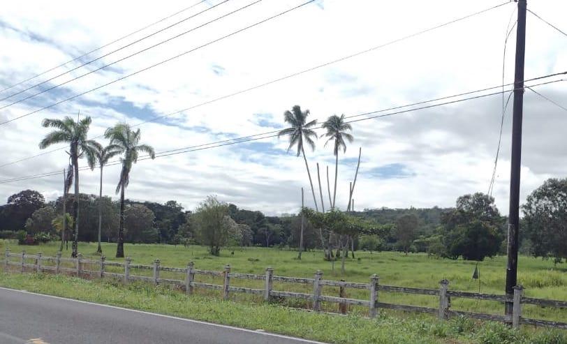 nuevo hospital campestre limon